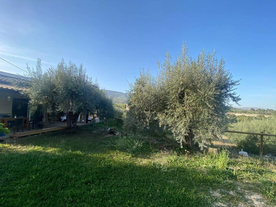 Casaruibella Moratalla (Murcia) Exterior foto